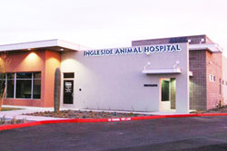 vet in phoenix - inglside animal hospital