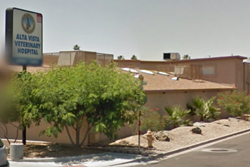 vet in phoenix - alta vista vet hospital