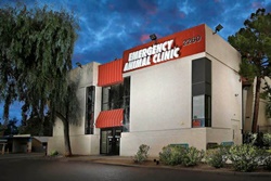 vet in phoenix - emergency animal clinic