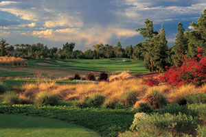 fun in phoenix raven golf club