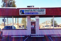 vet in phoenix- santis pet clinic